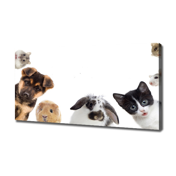 Canvas print Pets