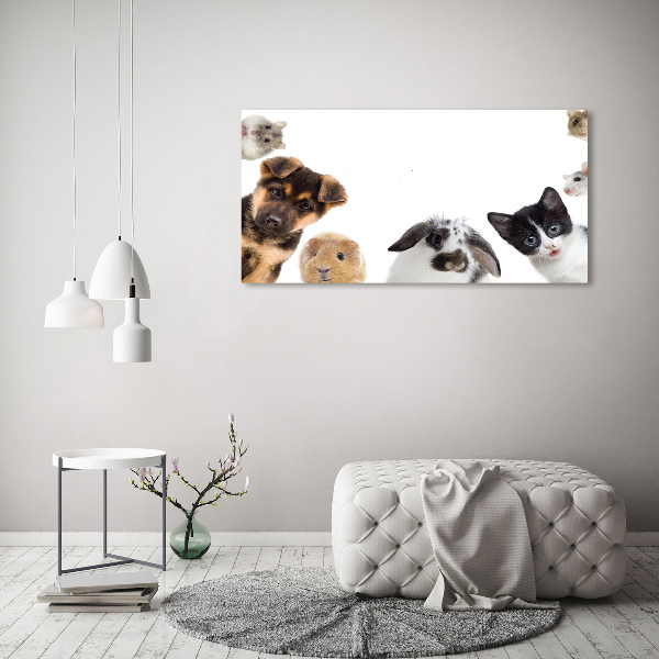 Canvas print Pets