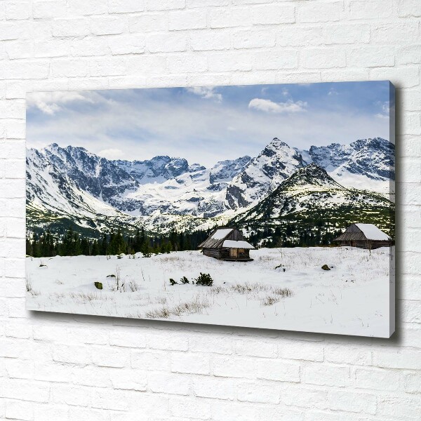 Canvas wall art Tatra Halls