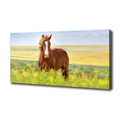 Wall art canvas large Brown horse