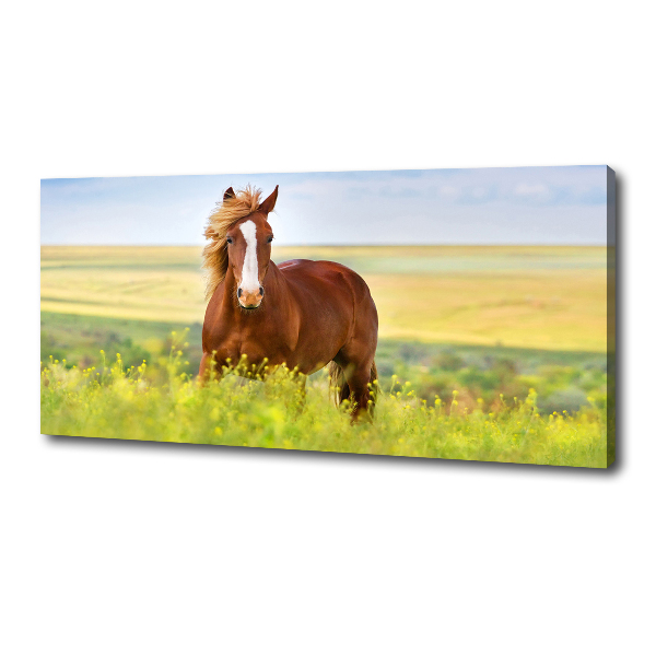 Wall art canvas large Brown horse