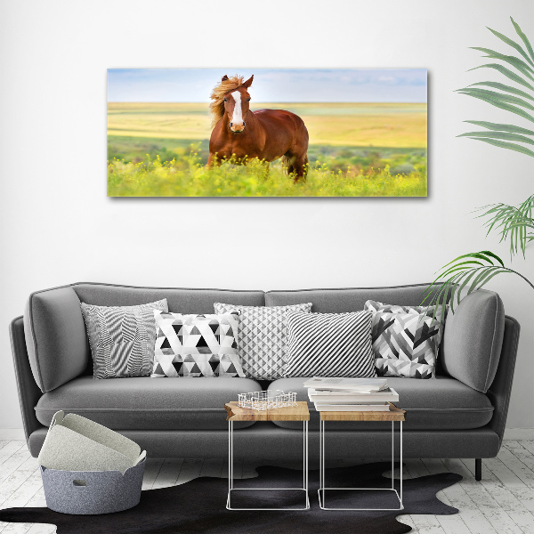 Wall art canvas large Brown horse