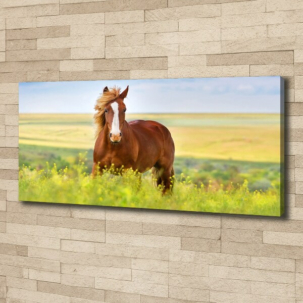 Wall art canvas large Brown horse