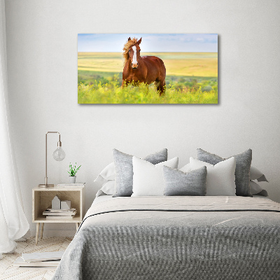 Wall art canvas large Brown horse