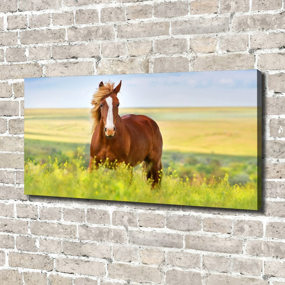 Wall art canvas large Brown horse