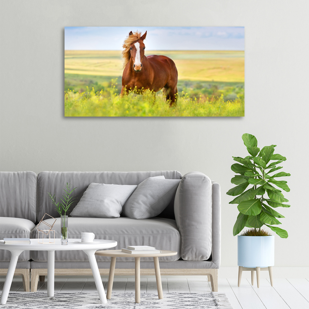 Wall art canvas large Brown horse