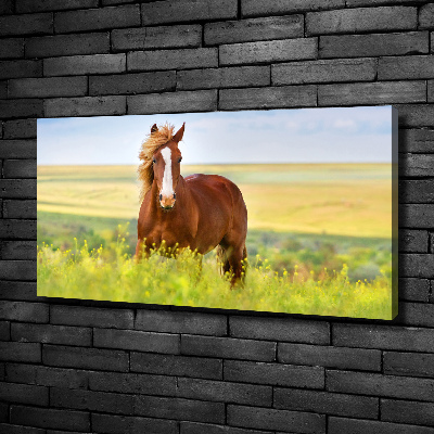 Wall art canvas large Brown horse