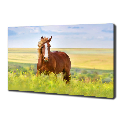 Wall art canvas large Brown horse