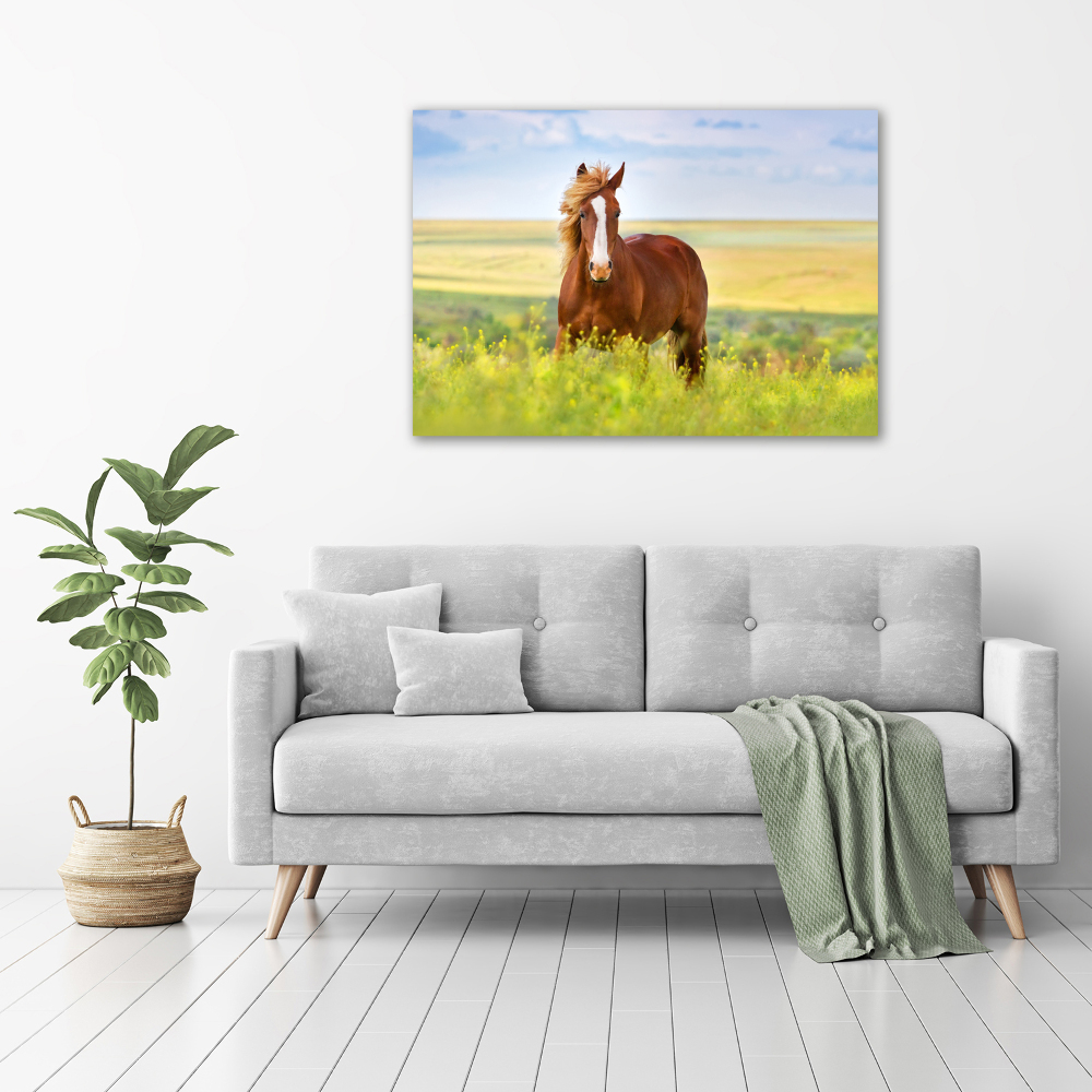 Wall art canvas large Brown horse