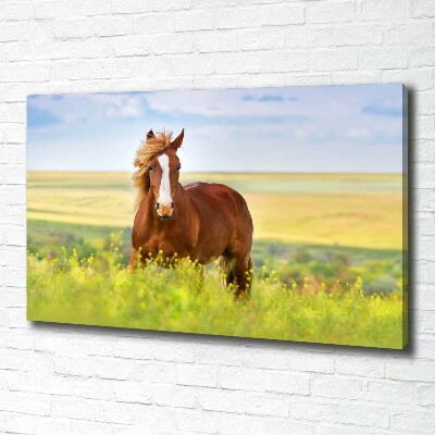 Wall art canvas large Brown horse