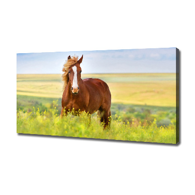 Wall art canvas large Brown horse