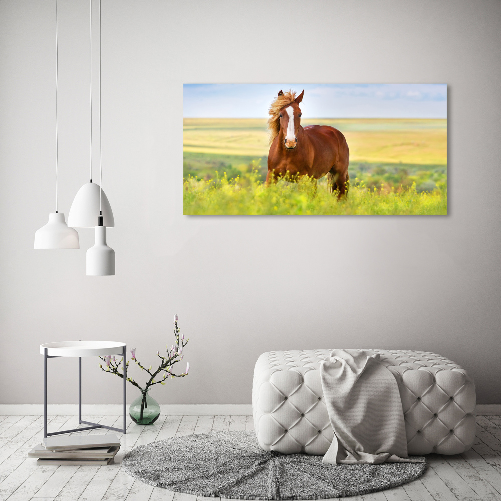 Wall art canvas large Brown horse