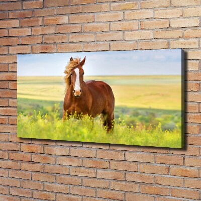 Wall art canvas large Brown horse