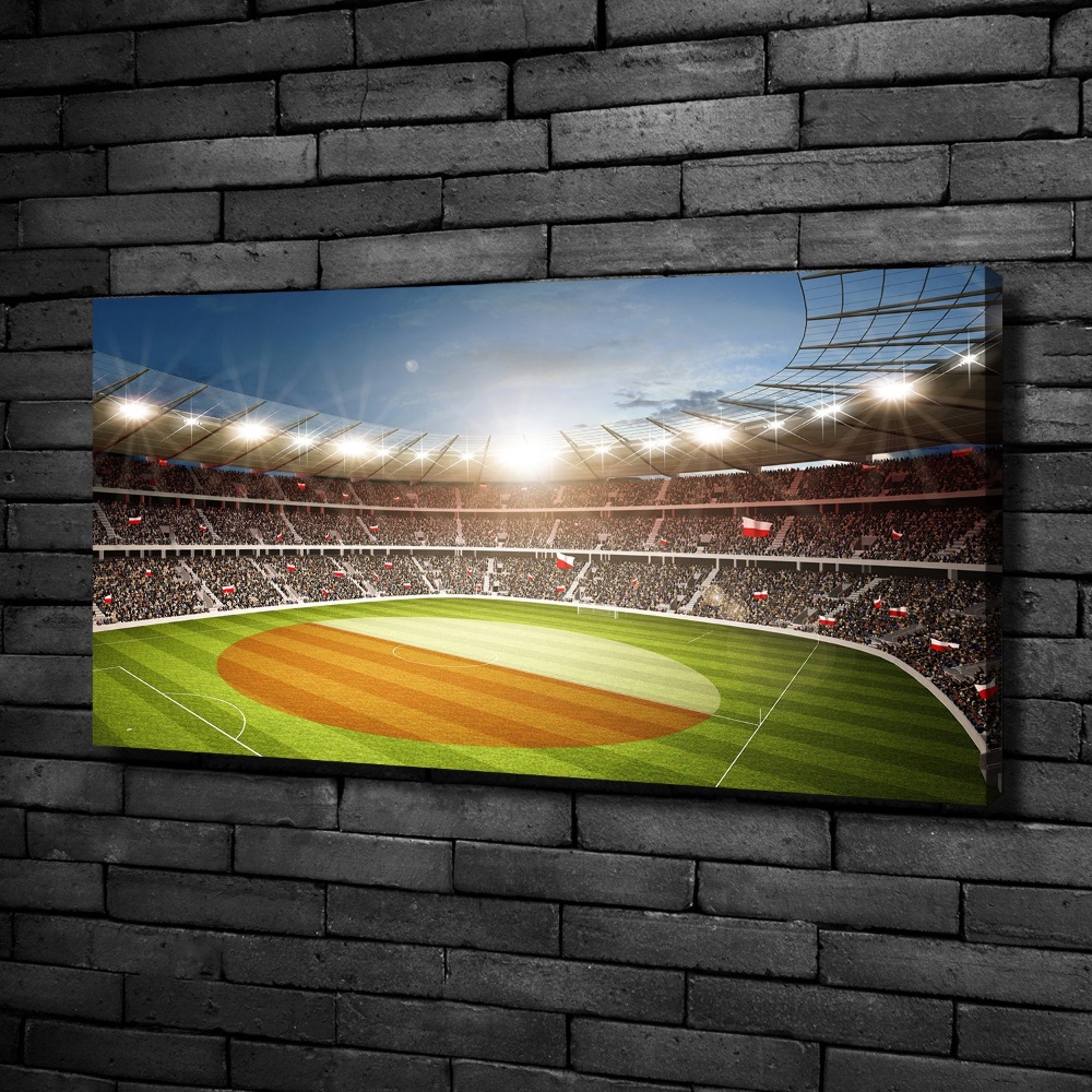 Canvas wall art Poland stadium