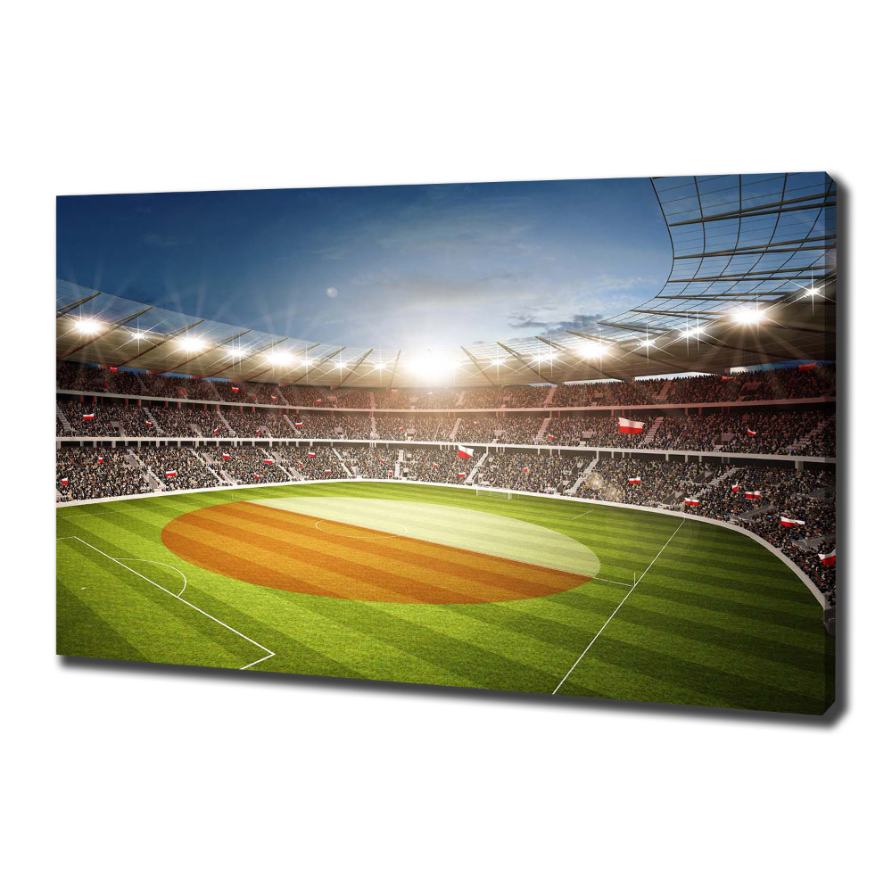 Canvas wall art Poland stadium