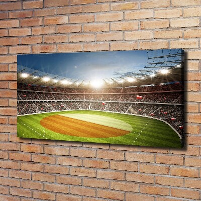 Canvas wall art Poland stadium