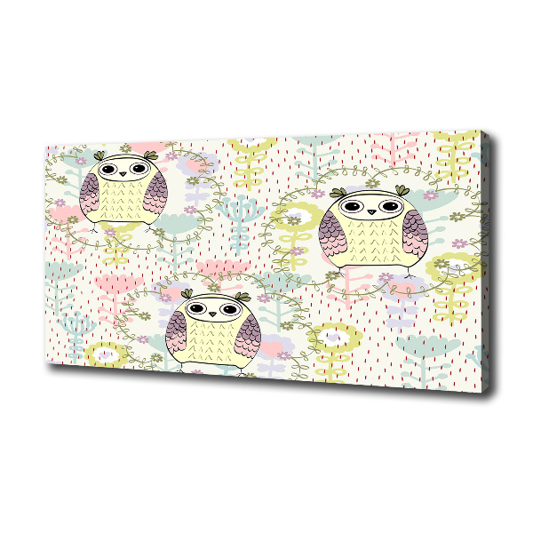 Owls