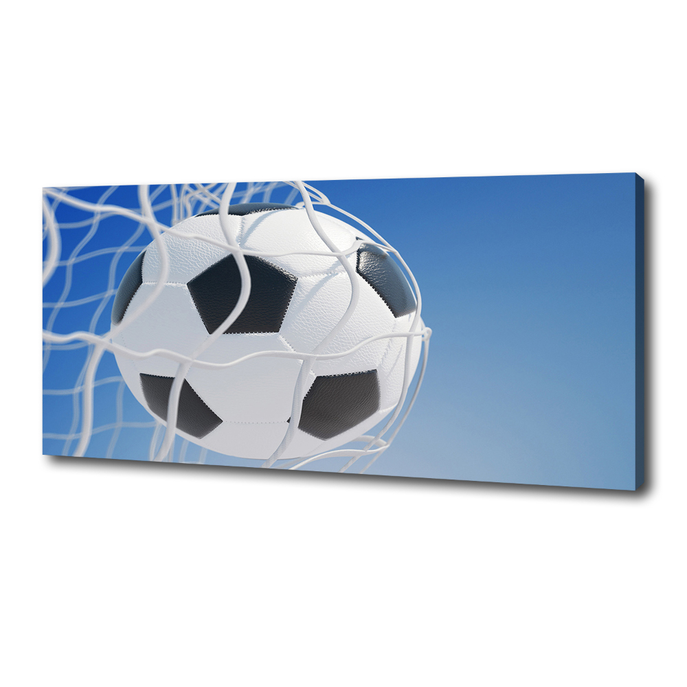 Canvas wall art Ball in the goal