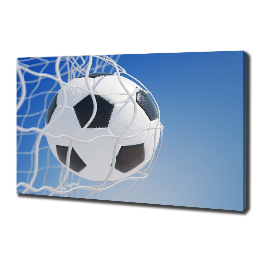 Canvas wall art Ball in the goal