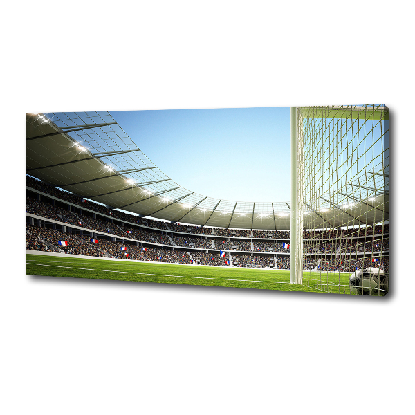 Canvas wall art France stadium