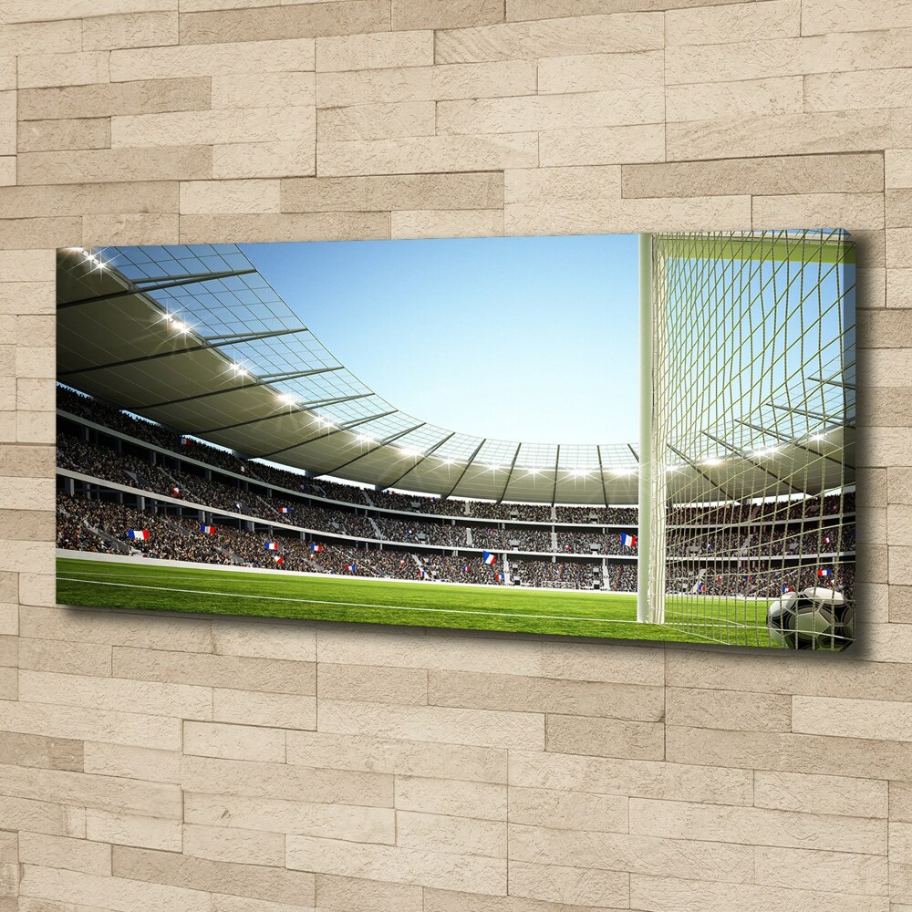 Canvas wall art France stadium