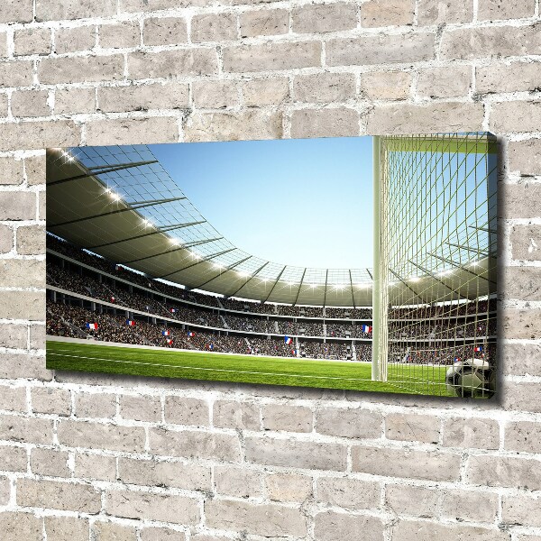 Canvas wall art France stadium