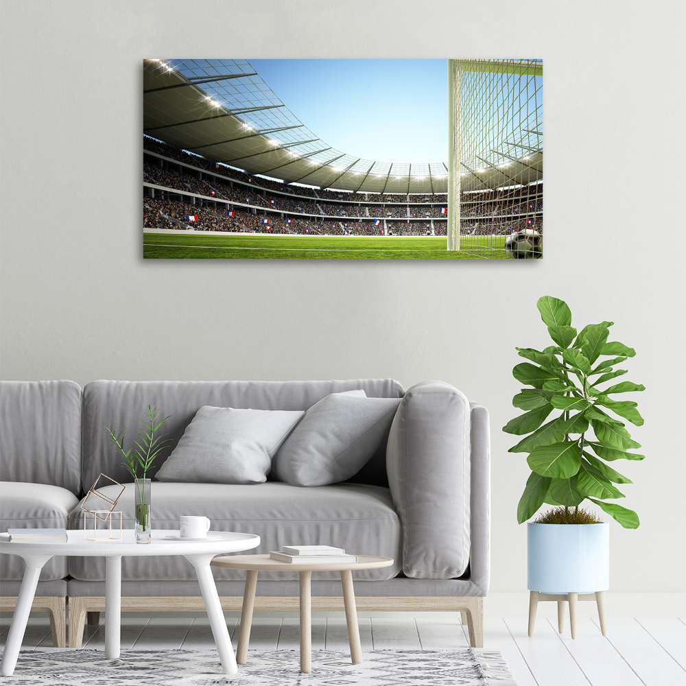 Canvas wall art France stadium