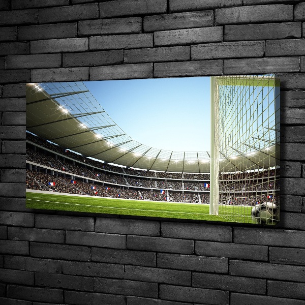 Canvas wall art France stadium