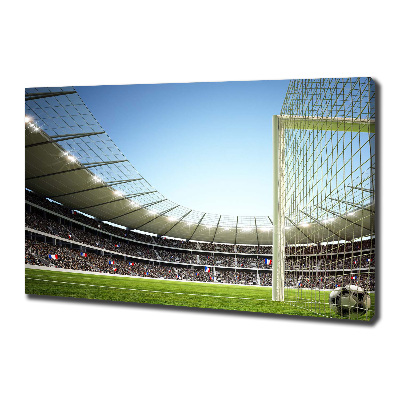 Canvas wall art France stadium