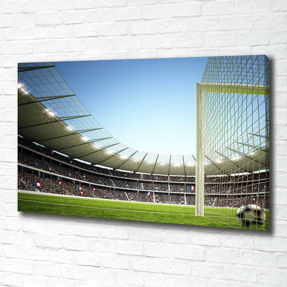 Canvas wall art France stadium