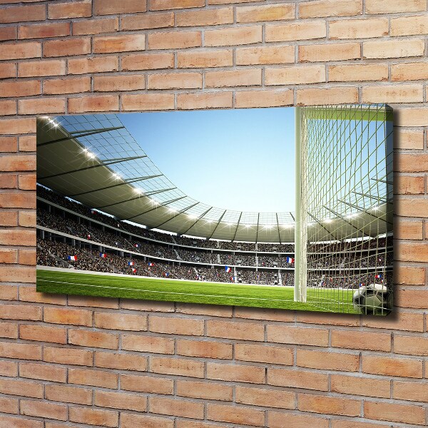 Canvas wall art France stadium