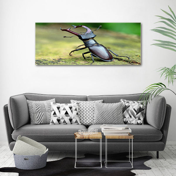 Wall art canvas large Beetle