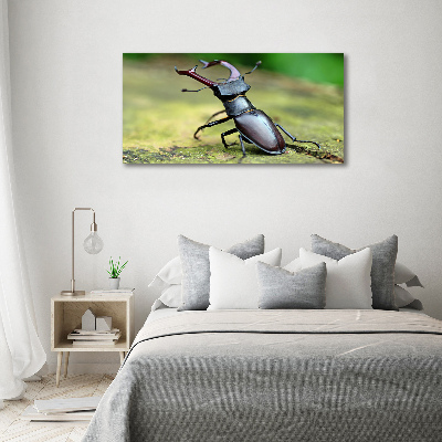 Wall art canvas large Beetle