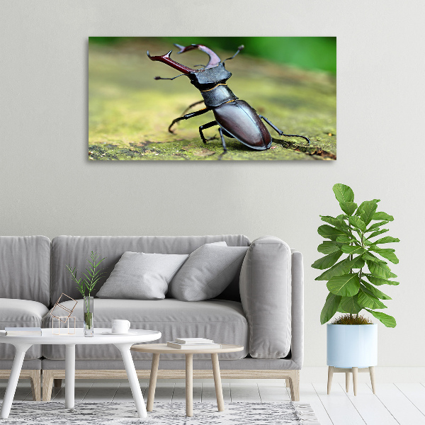 Wall art canvas large Beetle