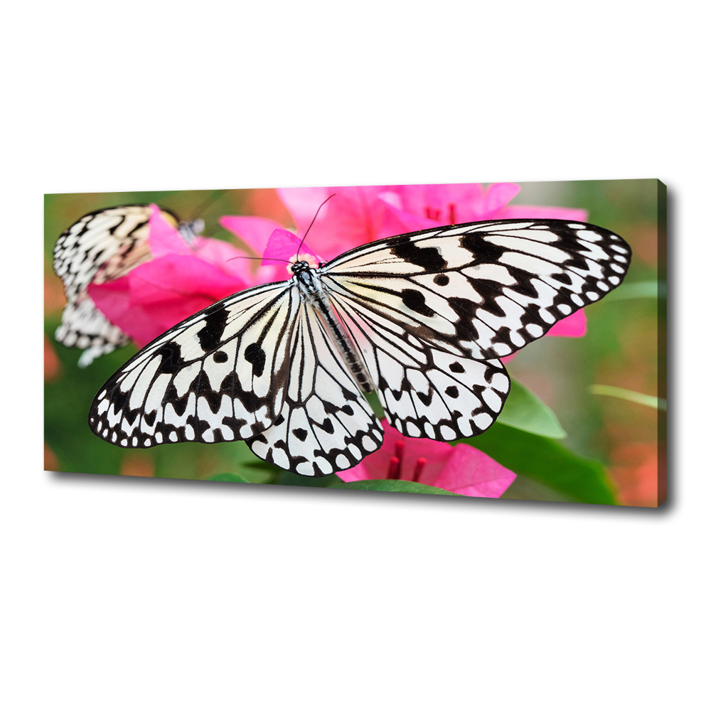 Large canvas wall art Flower butterfly