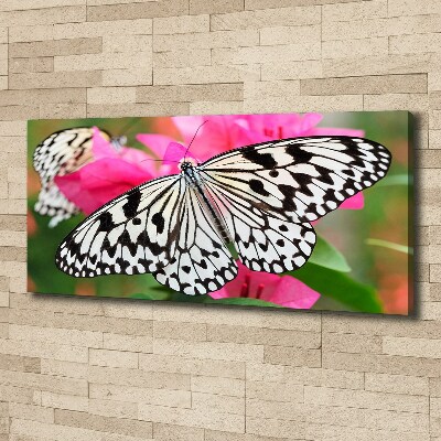 Large canvas wall art Flower butterfly