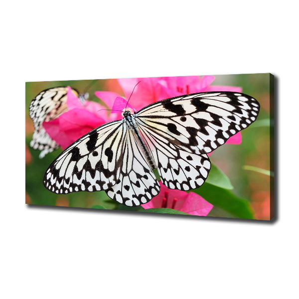 Large canvas wall art Flower butterfly