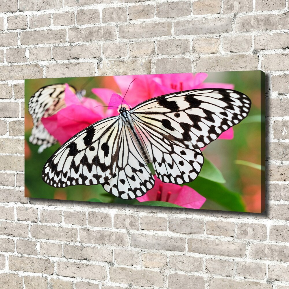 Large canvas wall art Flower butterfly