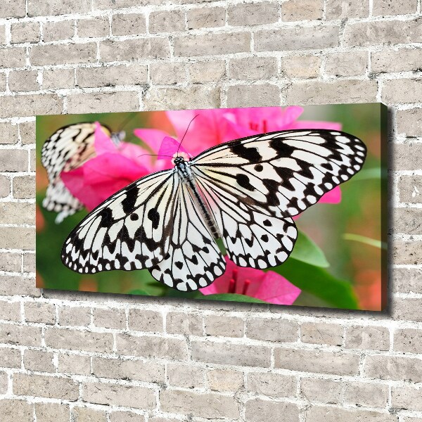 Large canvas wall art Flower butterfly