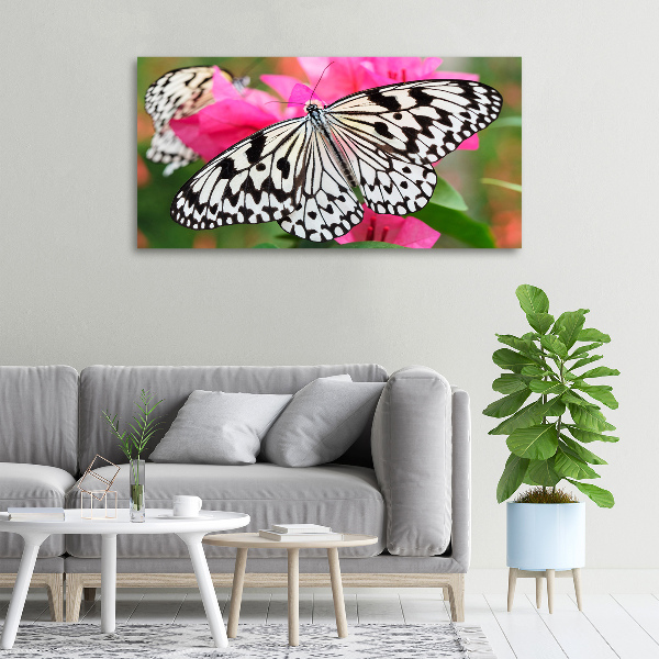 Large canvas wall art Flower butterfly