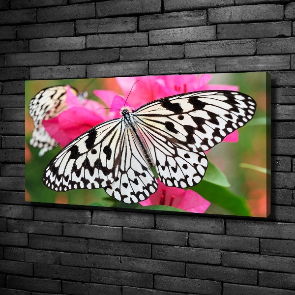 Large canvas wall art Flower butterfly