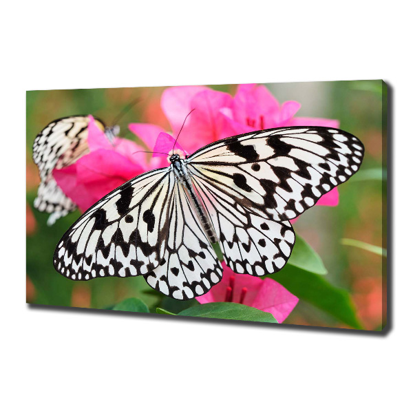 Large canvas wall art Flower butterfly