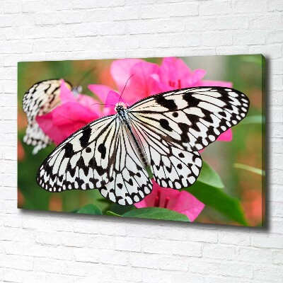 Large canvas wall art Flower butterfly