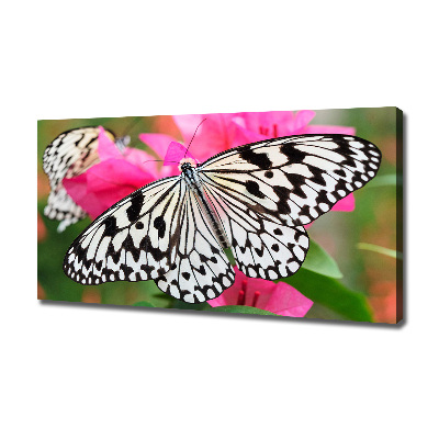 Large canvas wall art Flower butterfly