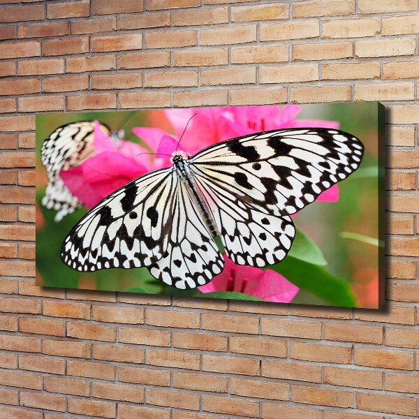 Large canvas wall art Flower butterfly