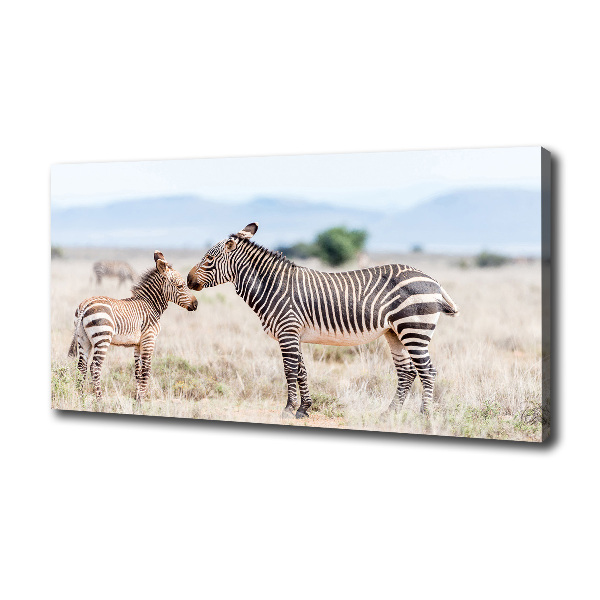 Large canvas wall art Zebra in the mountains