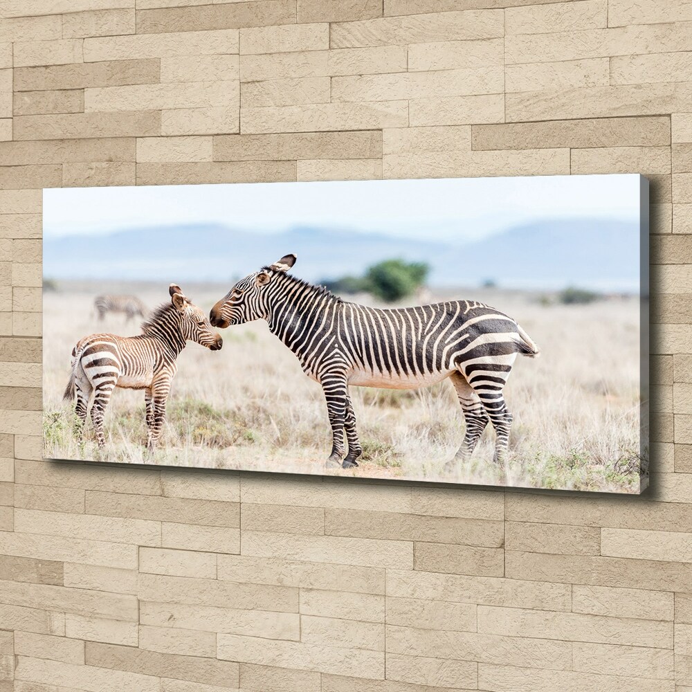 Large canvas wall art Zebra in the mountains