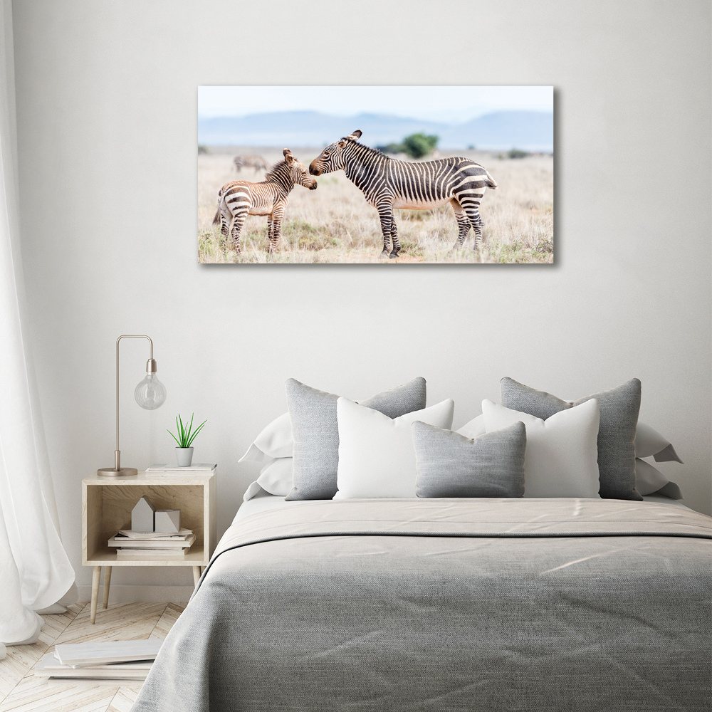 Large canvas wall art Zebra in the mountains