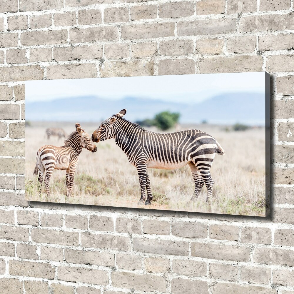 Large canvas wall art Zebra in the mountains