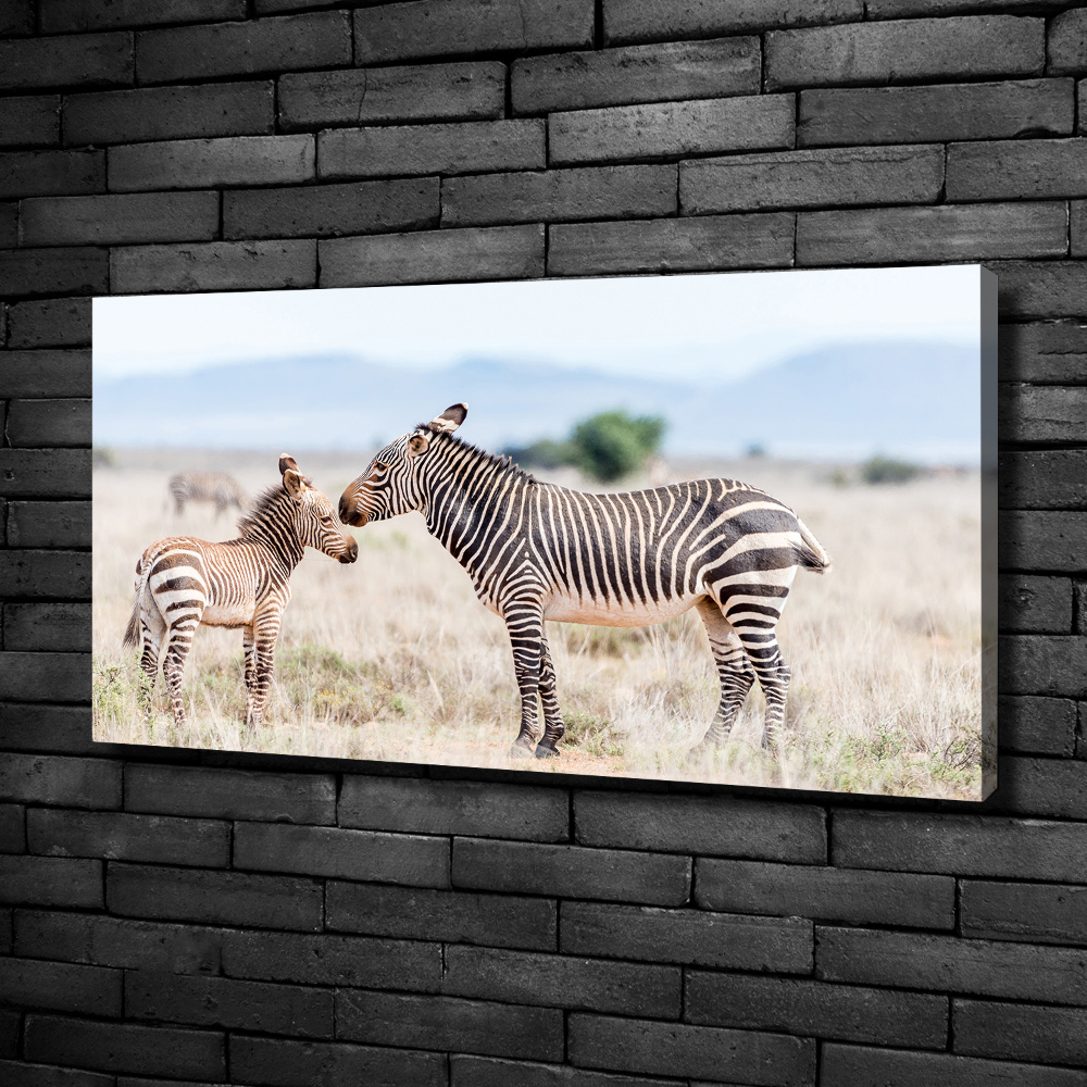 Large canvas wall art Zebra in the mountains